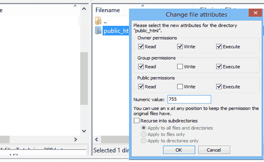 Chọn file permissions sau đó nhập 775